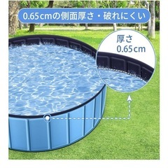 折りたたみ式プールの画像