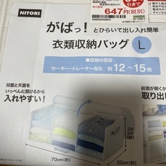衣類収納バッグLサイズ　の画像