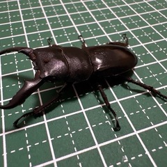 【新成虫】本土ヒラタクワガタ♂（42.0mm）-01の画像