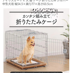(新品)アイリスオーヤマ　犬猫　折りたたみケージ　クレートの画像