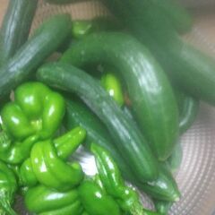 新鮮野菜明日の品出し予定です。の画像