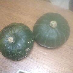 新鮮野菜明日の品出し予定です。の画像