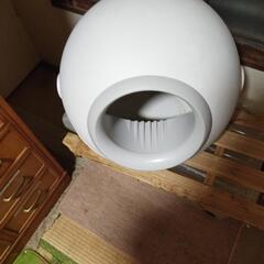 猫のトイレの画像