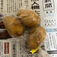 ジャガイモ　12個の画像
