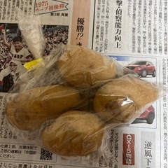 ジャガイモ　12個の画像