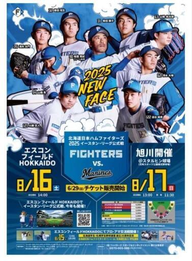 8月上旬まで出品　北海道日本ハムファイターズまとめ売り 8月上旬まで出品 北海道日本ハムファイターズまとめ売り 8月上旬