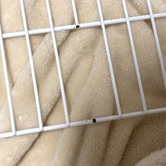 キャットケージ(ケージ用爪研ぎ付き)の画像