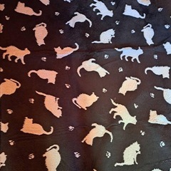 猫の絨毯の画像