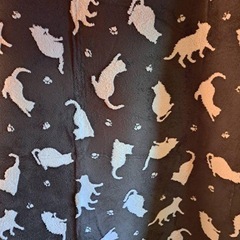 猫の絨毯の画像