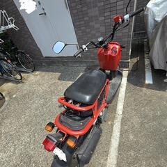 ホンダ　ズーマー　50ccの画像