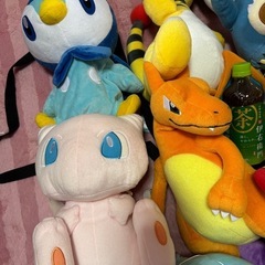ポケモン　ぬいぐるみセット　まとめ売りの画像