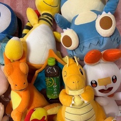 ポケモン　ぬいぐるみセット　まとめ売りの画像