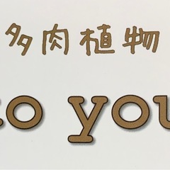 お盆休み期間の販売のお知らせ