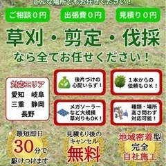 🌳草刈り🌳伐採🌳抜根🌳剪定の事ご相談下さい！