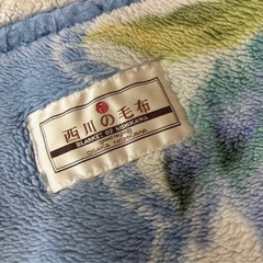 西川シングル毛布の画像