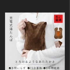 新品未使用/電気でぽかぽか湯たんぽ3つの画像