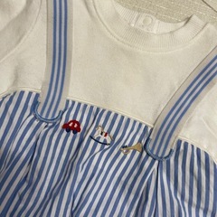 Cottoli 80cmの画像