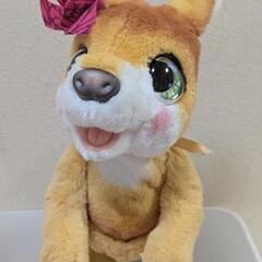 ファーリアル　カンガルーのぬいぐるみの画像