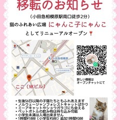 猫のふれあい広場　小田急相模原南口に11月頃オープン予定