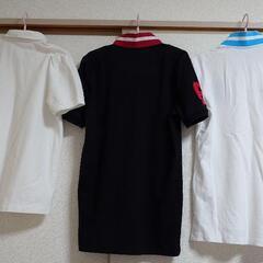 【新品・中古】レディースＴシャツ＆ポロシャツ計7枚◆Mサイズの画像