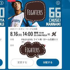 北海道日本ハムファイターズ 8月16日 ファーム戦 チケット 2枚 FIELD LEVEL ライト側 ホーム応援エリアの画像