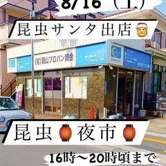 🏮昆虫夜市🏮昆虫くじ/販売イベント開催❗️