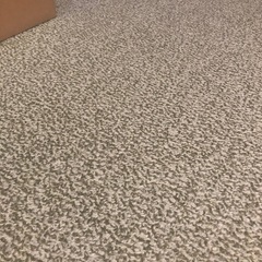 カーペットの画像