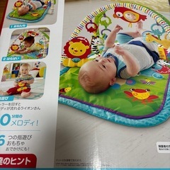 fisher price ミュージカルジムの画像