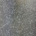 ランキングキーワードに紐づく投稿画像-メダカ
