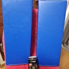 マーシャルワールド　キックミット　空手　キックボクシング　格闘技の画像