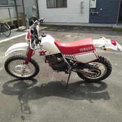 ヤマハ　TT250の画像