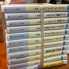 スレイヤーズ小説版、漫画版セットの画像