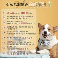 【獣医師推奨】猫自動給水器 ペット自動給水器　大容量2ℓ 循環式 静音　水飲み器の画像
