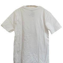 【フォルム】 Tシャツ サイズF 100%コットンの画像