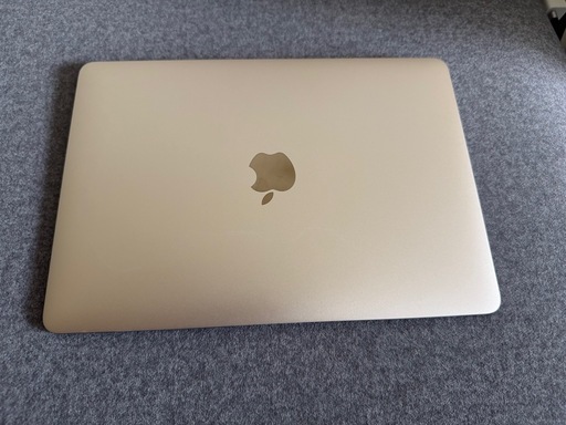 MacBook 2015 12inch Reainaディスプレイ