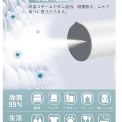 【引取り限定】 スチームアイロンの画像