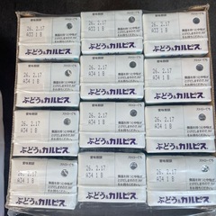 ぶどうカルピス　12本の画像