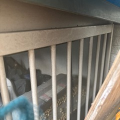 tyわんわんハウス 犬小屋 リクガメ屋外小屋 鶏小屋の画像