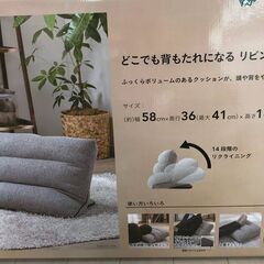 ☆どこでも背もたれになるリビング枕S☆カインズの画像