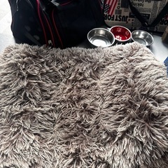 ペット用品大量まとめの画像
