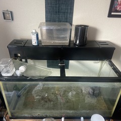90cm水槽、台座、上部フィルター付きの画像