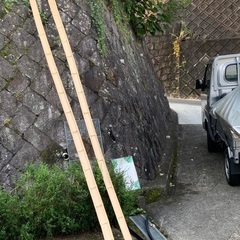 流しソーメン用竹2本の画像