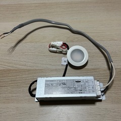 夏の激安祭り🔥LEDミニダウンライト！の画像