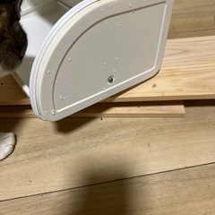 ブレッドケースの画像