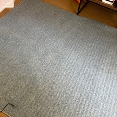 ホットカーペットの画像