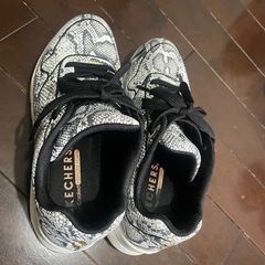 スケッチャーズ　中古品　綺麗の画像