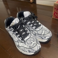 スケッチャーズ　中古品　綺麗の画像