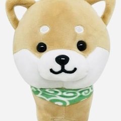 茶色の豆柴のぬいぐるみを探しています（落とし物）