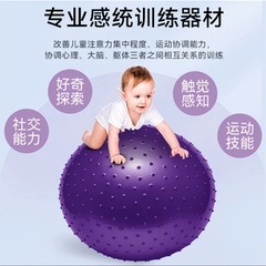 未使用　babyおもちゃ　ボール　45cm の画像