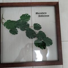リーフパネル フェイク観葉植物 壁掛け 3点の画像